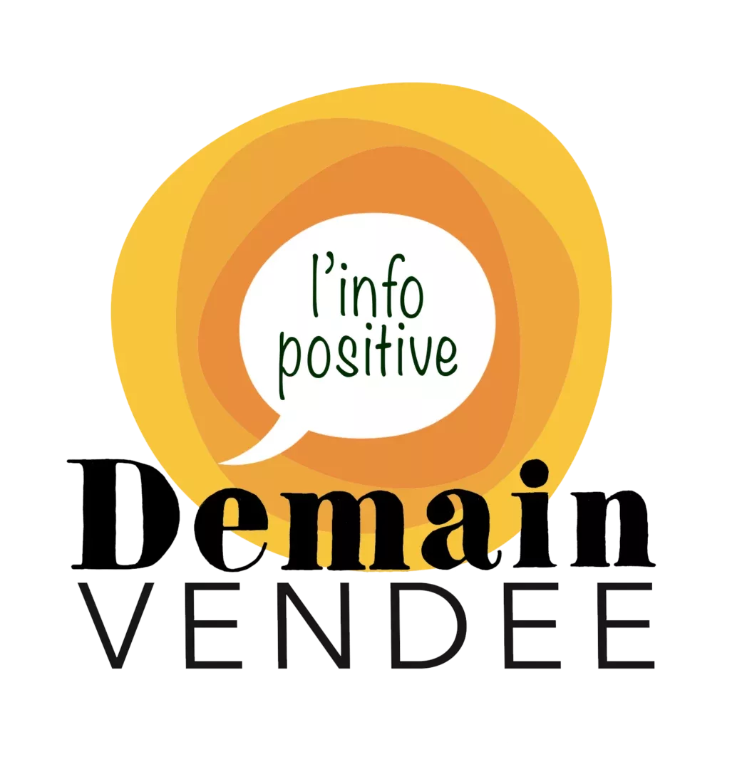 Logo-Demain-Vendée-typo-noir-Cyrille Merlet-réseau d'initiatives locales et innovantes